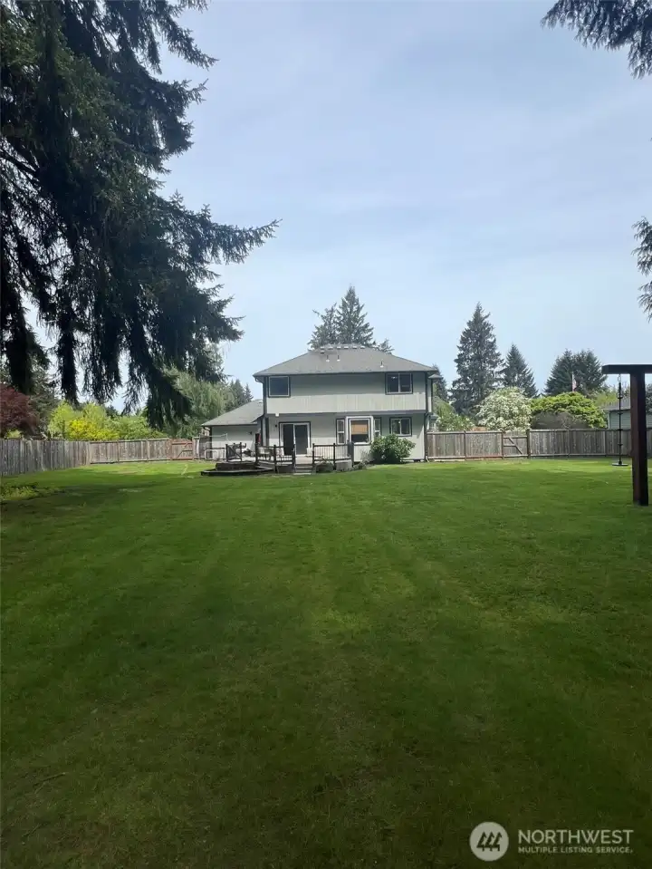 Back yard