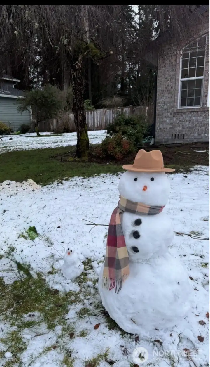 Front lawn - Winter fun