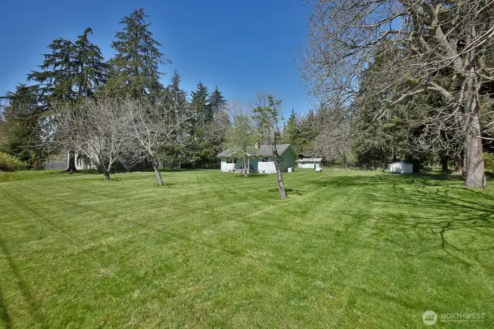 nearly 5 acres of flat sunny area to spread out and enjoy