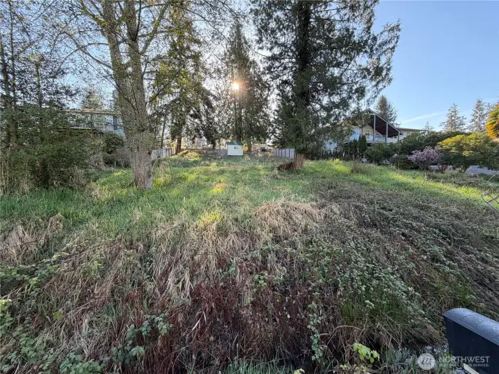 View of the lot from the street