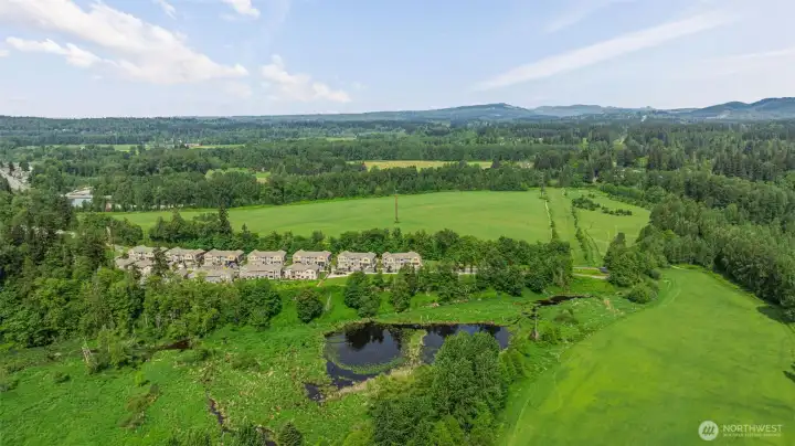 Surrounded by trees and open space