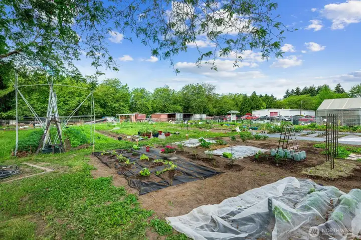 Just a block away, you can join up and be a part of the community garden where you can grow veggies, herbs or anything you like!