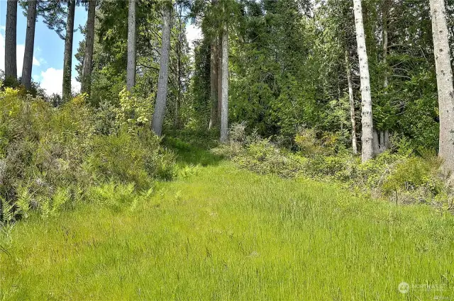 Nature walking trail to the beach.