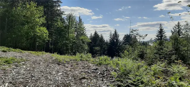 The views are wonderful! Standing on the lower clearing looking West