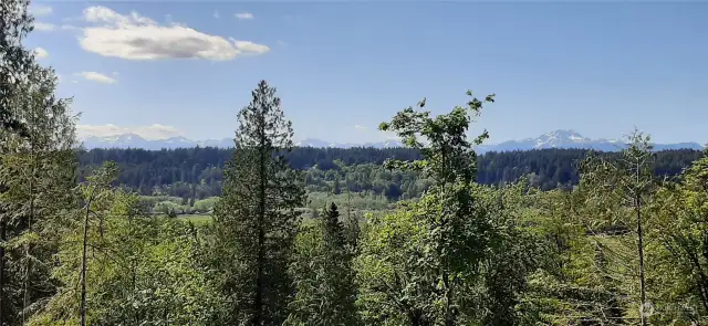 Standing on the upper clearing looking West.   Great views of the Hood Canal (the Wetlands) and the Olympic Mountains