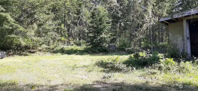 The upper clearing with remnants of an old shed