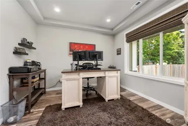 As you enter the home, there's a terrific office to the right.  Note the custom window coverings throughout he house.  The seller has excellent taste in furnishings, and it shows.
