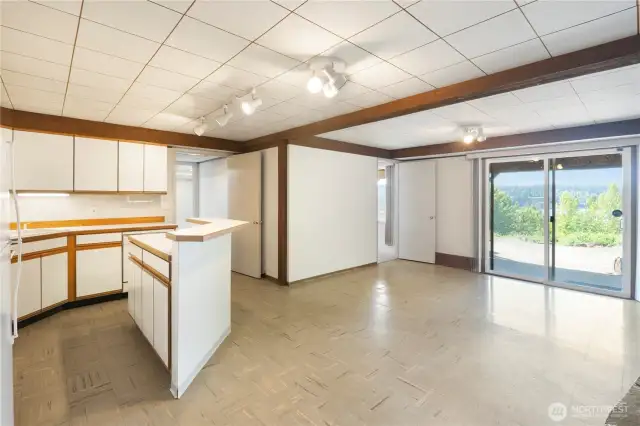 Lower level kitchen, family room