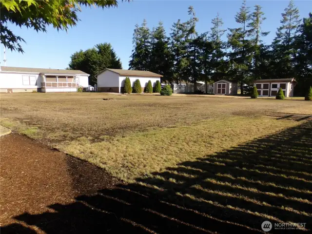 Northwest corner of back yard.
