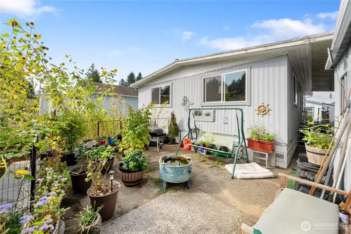 Back Yard