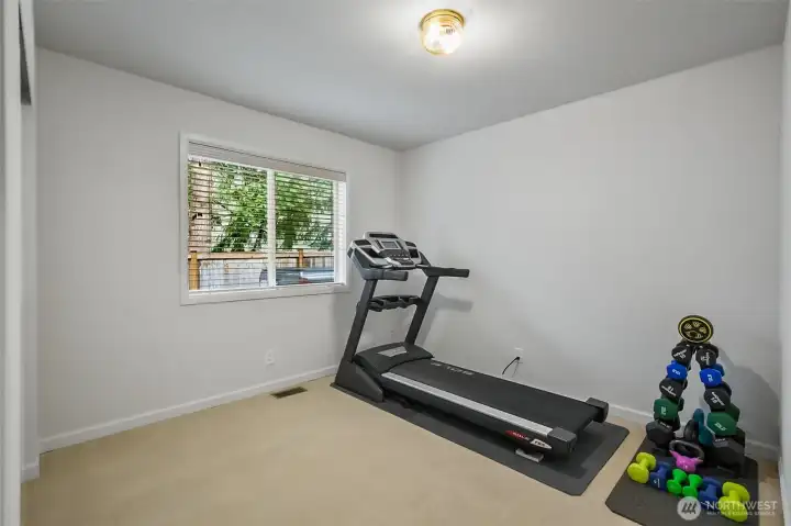 Lower level bedroom.