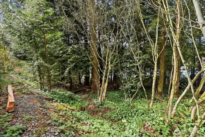 So much more to explore!