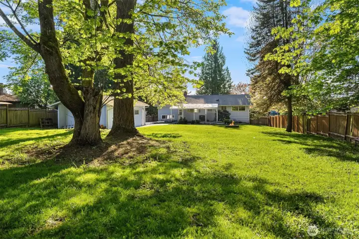 Another view of the back yard looking toward the house. Plenty of sunny spots for a garden.
