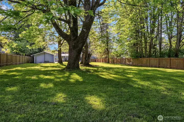 This backyard is a rare find.