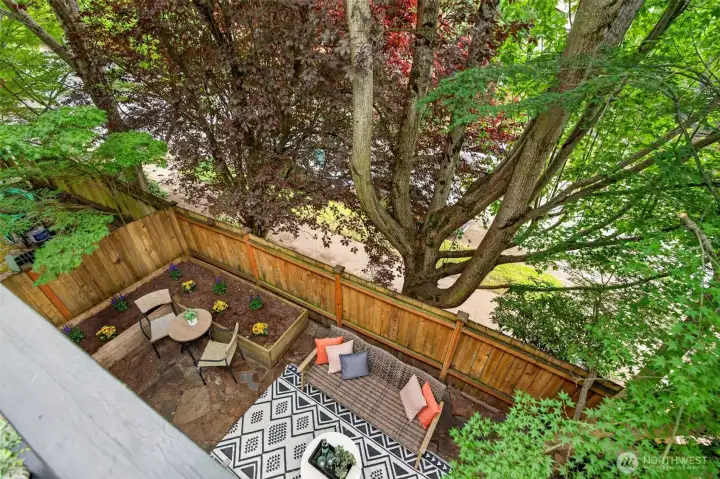 View from the balcony to the spacious patio/backyard with raised flower beds for gardening