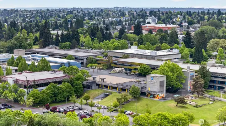 Close to North Seattle Community College past lush Licton Spring park.