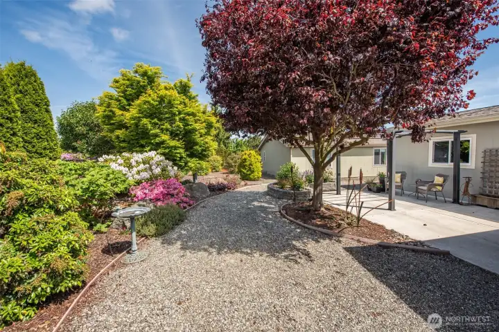 Beautiful  low maintance landscapinglandscaping surrounds the home
