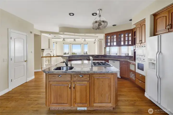 Amazing chef's kitchen