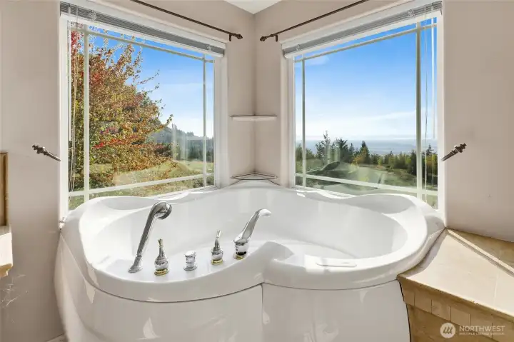 Spa tub and those views!!
