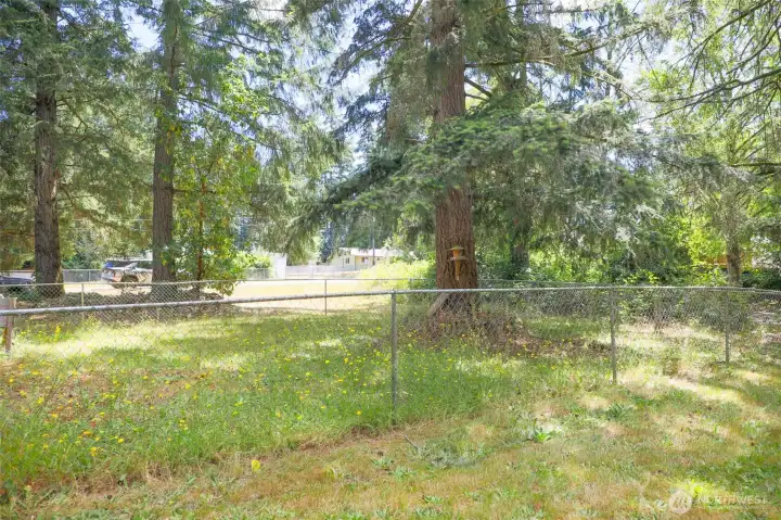 Fully fenced area. Fully fenced area.