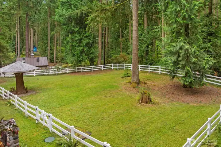 A second fully fenced pasture by the house patio.