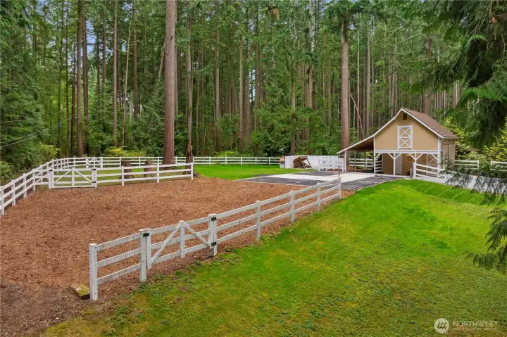 Middle pasture has mulch for the rainy season.