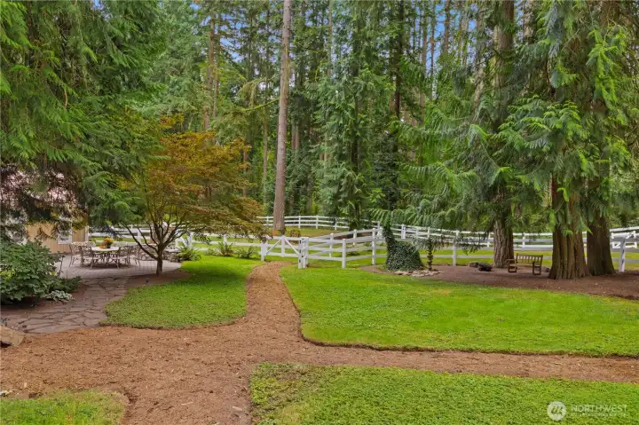 Pathways from the back porch to the pasture/barn area.