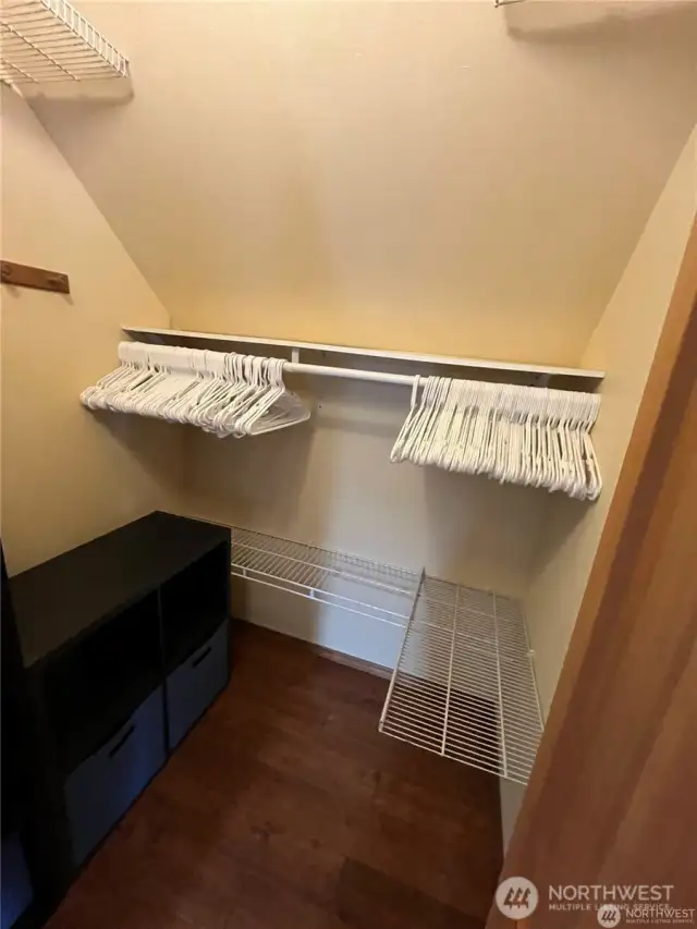Closet under stairs