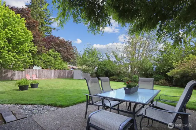 Fully fenced yard with lots of room