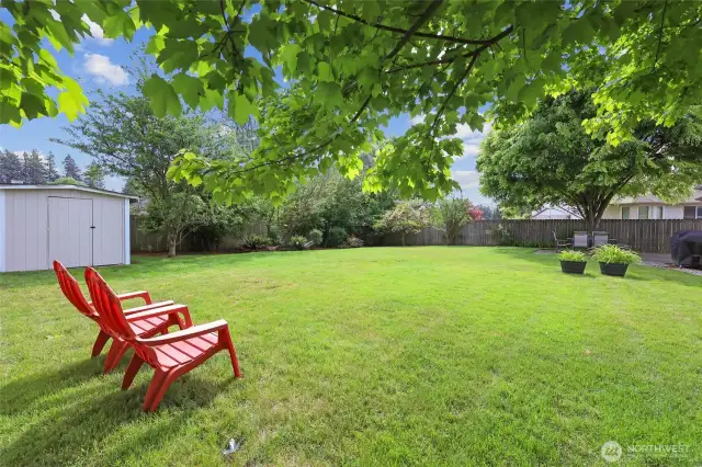 This yard has a lot to offer