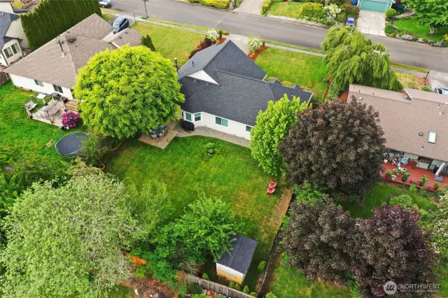 Area view of the backyard