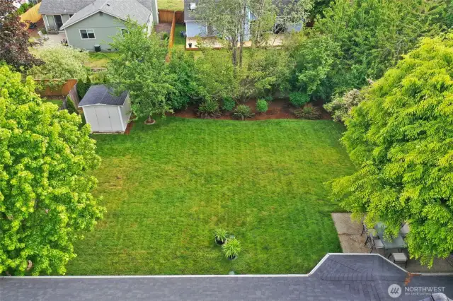 Showing lots of trees for privacy