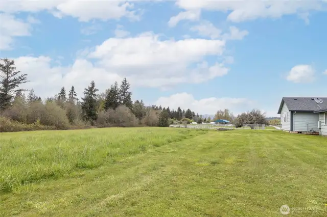 Pasture