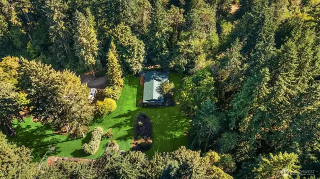 Drone Shot showing trees around perimeter and tons of Sun, Let the Hobby Farming, Flower Garden begin