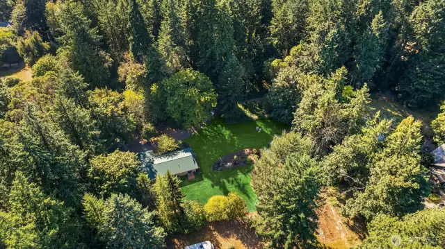 Metal Roof, showing side yard to right and back yard, lots of sunshine