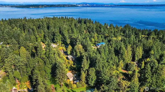 Rolling Bay and Downtown Seattle in the background