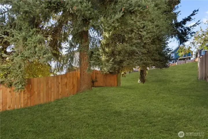 RENDERING OF BACKYARD GRASS