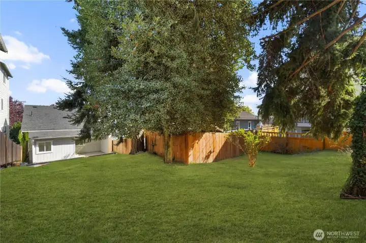RENDERING OF BACKYARD GRASS