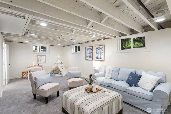 Lower level bonus room runs the entire length of the home.