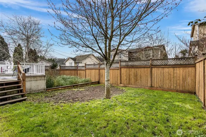 Low-maintenance backyard.