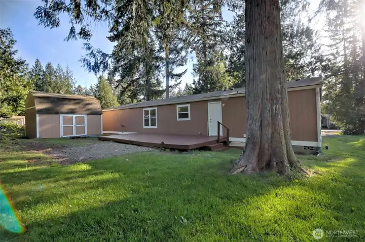 Great little shed in the back yard for your lawn tools or toys