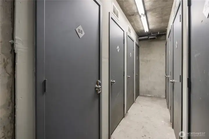 Storage in lower garage