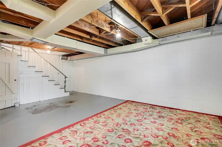 Lower level basement.