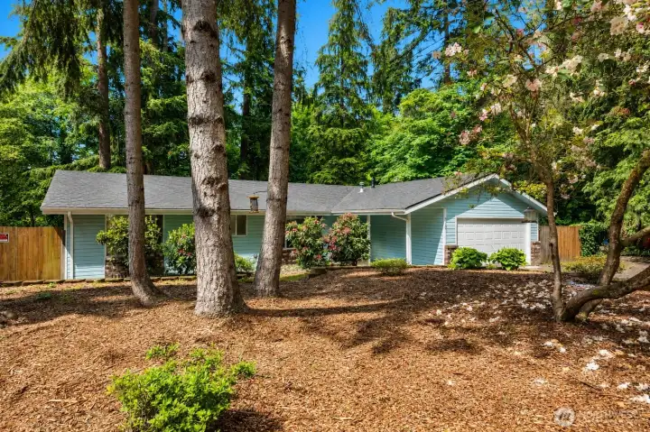 Mature foliage surrounds the home offering immense privacy.