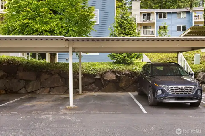 Unit has its own dedicated covered parking space.