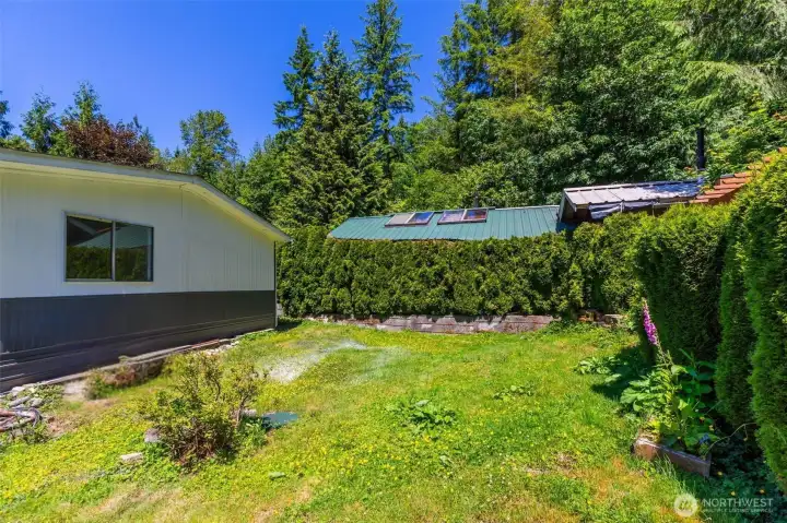 Your backyard.