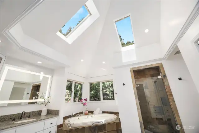 The generously sized sky lights floods this master bath with natural light.