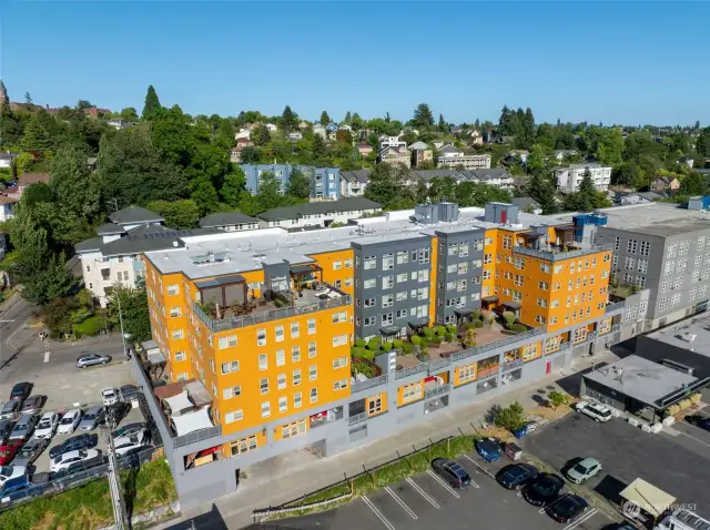 Bird's-eye view of the building and its spectacular second-floor outdoor space—where modern living meets open-air relaxation!