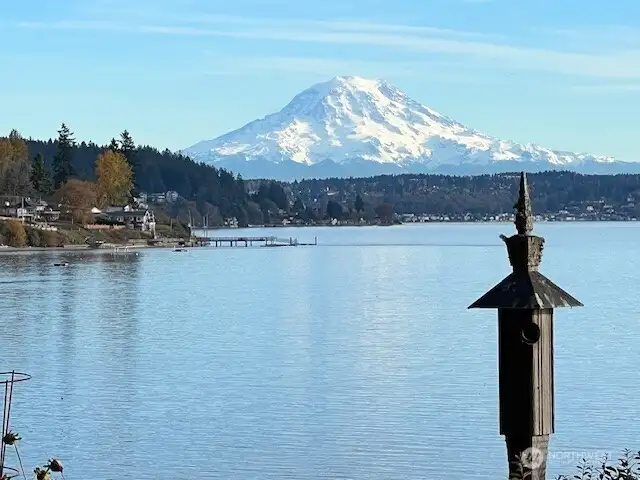 Majestic Mt. Rainier in its glory.