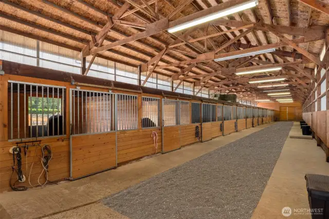 Updated and extra wide areas for everything horse.